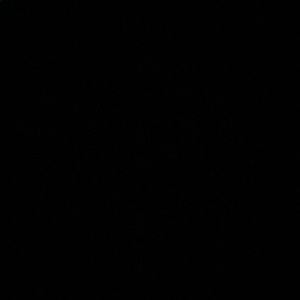 Meet your Posher, Jesus